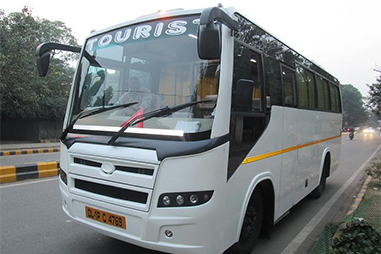 18seater Mini Coach11